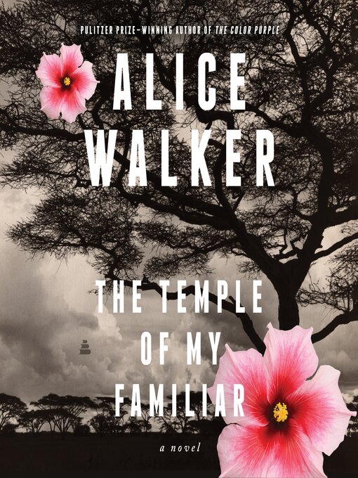 Title details for The Temple of My Familiar by Alice Walker - Available